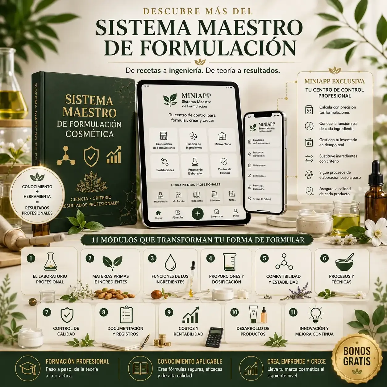 El Sistema Maestro de Formulación
